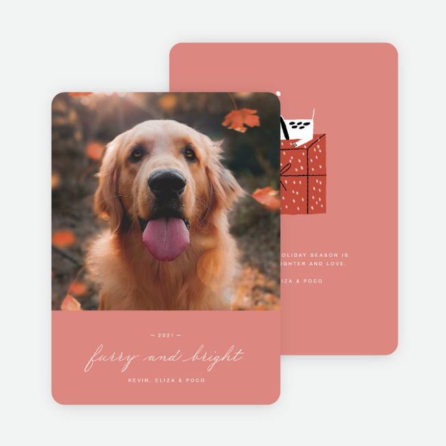 Puppy Present Pet Holiday Cards - Pink