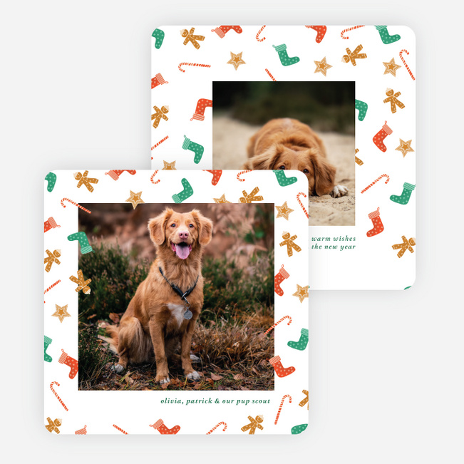 Showering with Joy Christmas Cards - Multi