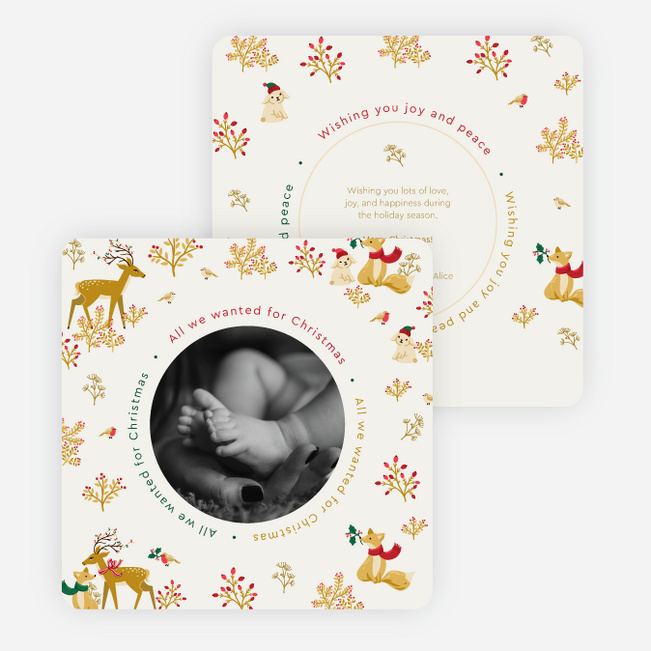 Winter Animal Pals Christmas Cards - Multi