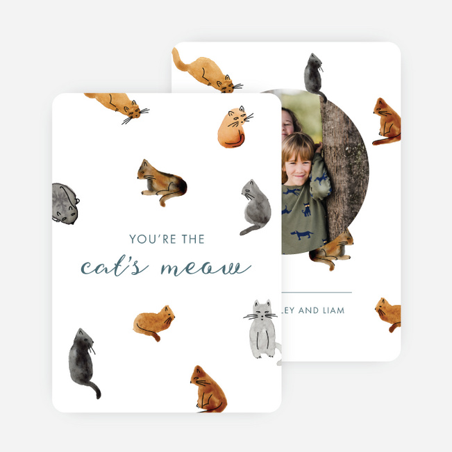 Meow & Furever Valentine’s Day Cards - Multi