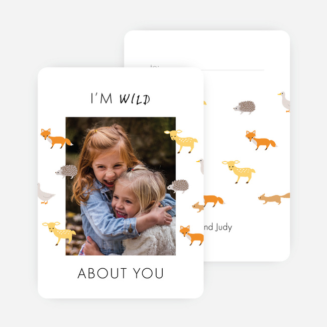 Wild About You Valentine’s Day Cards - Multi