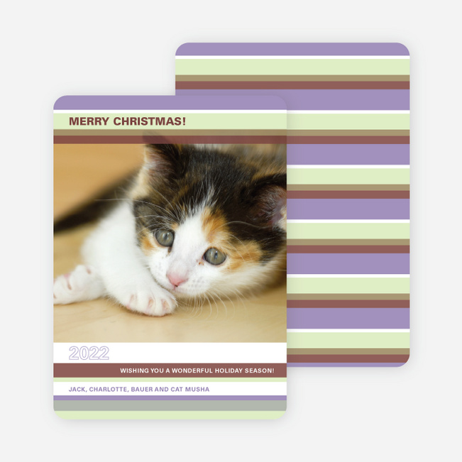 Colorful Stripes Holiday Photo Cards - Lilac