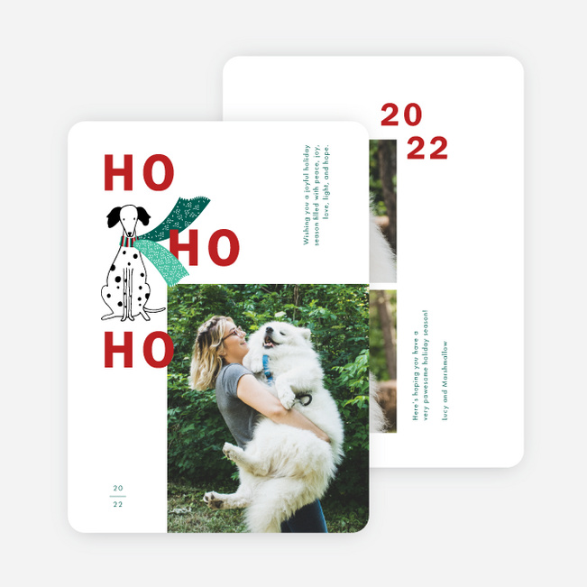 Pawesome Scarf Holiday Cards and Invitations - Multi