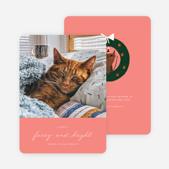 Feline Fine Pet Holiday Cards - Pink