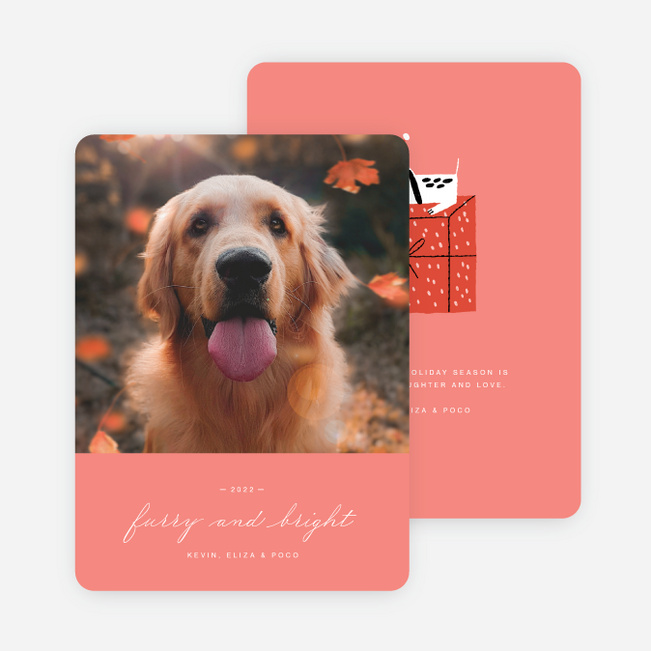 Puppy Present Pet Holiday Cards - Pink