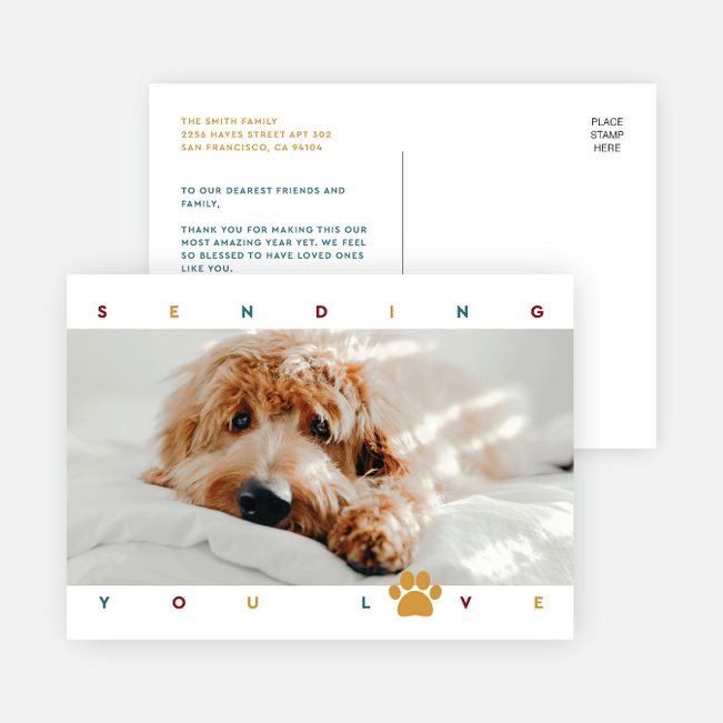 Pet Sending Love Holiday Cards and Invitations - White