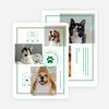 Furry Icons - Green