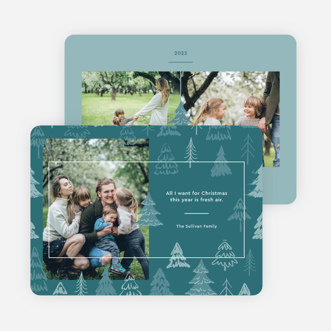 Fresh Air Christmas Cards - Blue