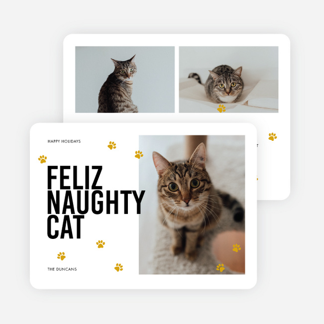 Feliz Naughty Pets Personalized Christmas Cards - White