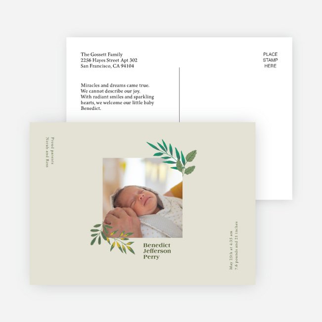 Organic Hello Baby Birth Announcements - Beige