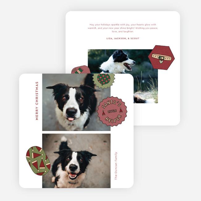 The Pet Set Christmas Cards - Red