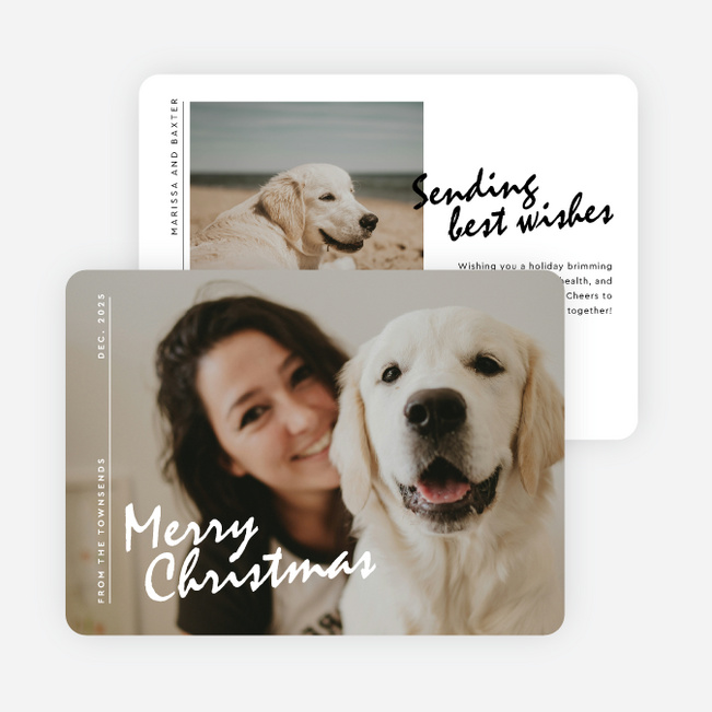 Purely Present Christmas Cards - White