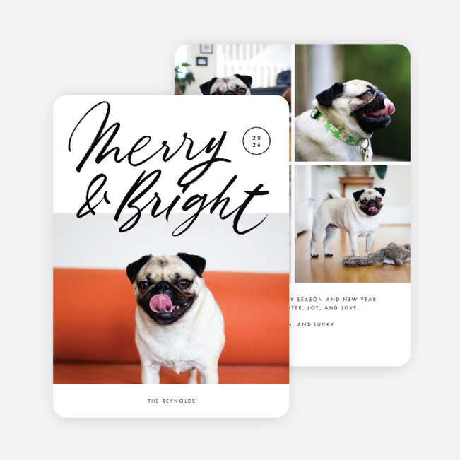 Merry Times Holiday Cards - Black