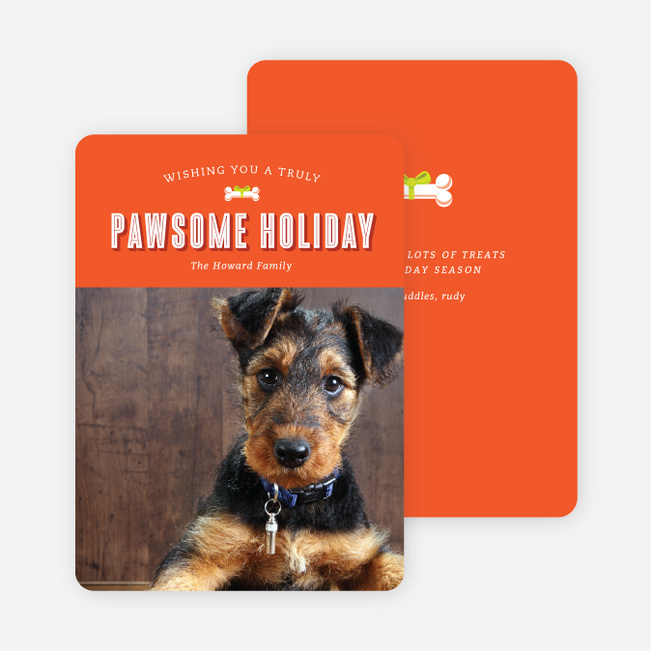 Pawsome Dog Holiday Photo Cards - Orange